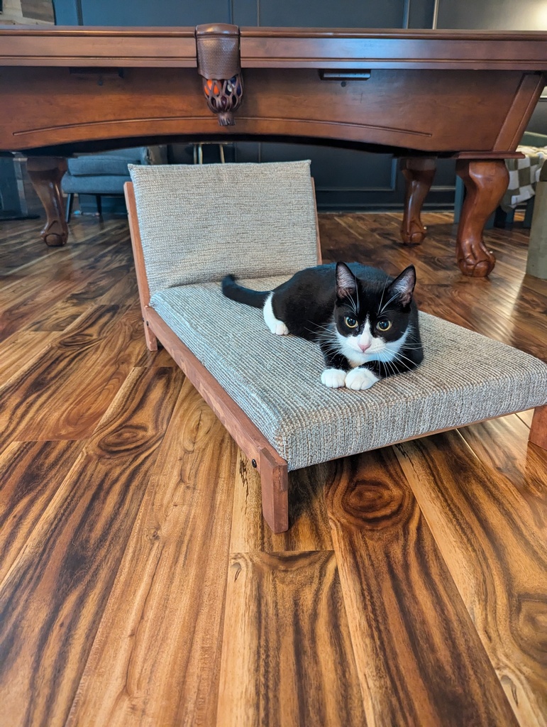 The Jack Chaise