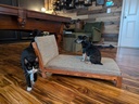 The Jack Chaise