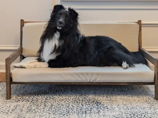 The Jack Chair XL